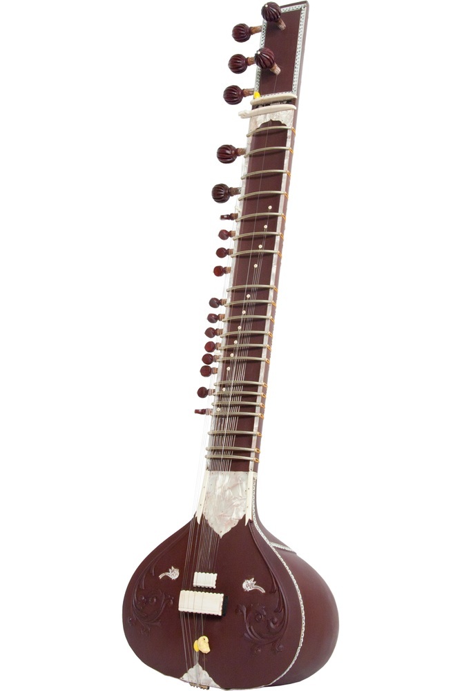 esraj with chikari strings
