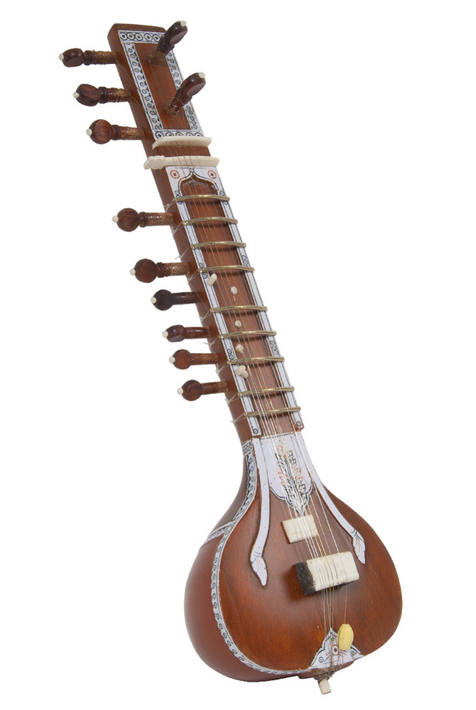 esraj with chikari strings